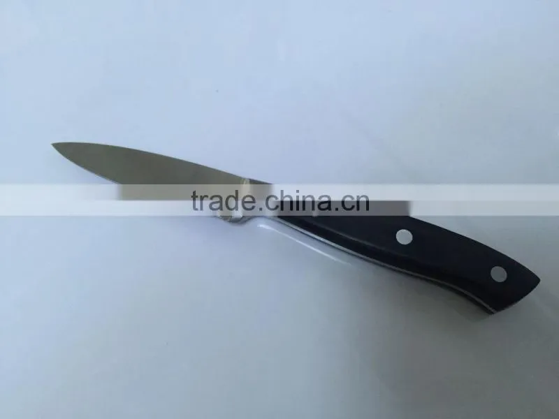 HomeLine Stainless steel fruit knife with POM handle