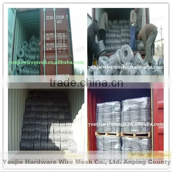top sale concertina barbed wire fence (ISO 9001)