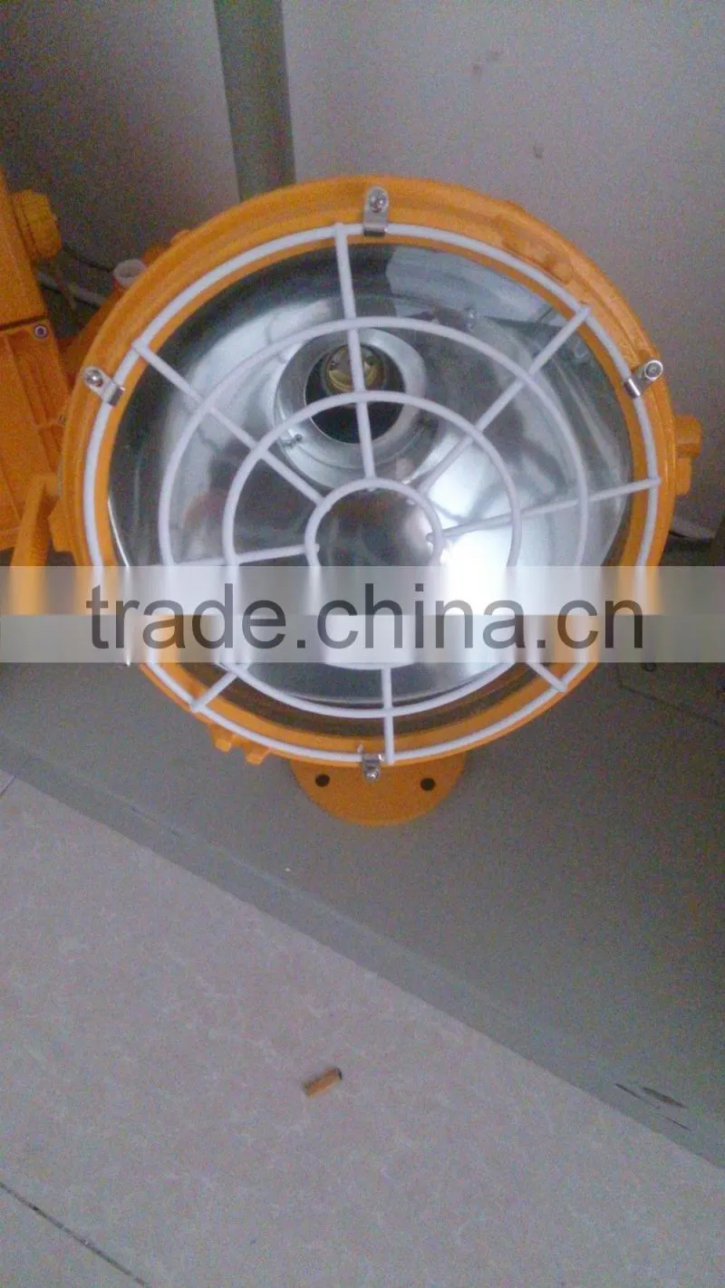 BAT51- Professional Explosion proof cast light