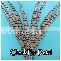 Drag Cabaret Showgirl Peagent Dance Angel Wing Headdress