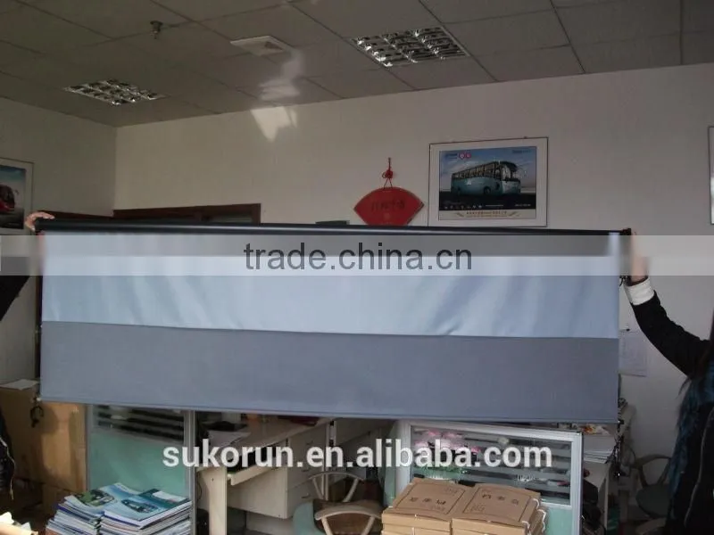 novelty foldable windshield sunshade