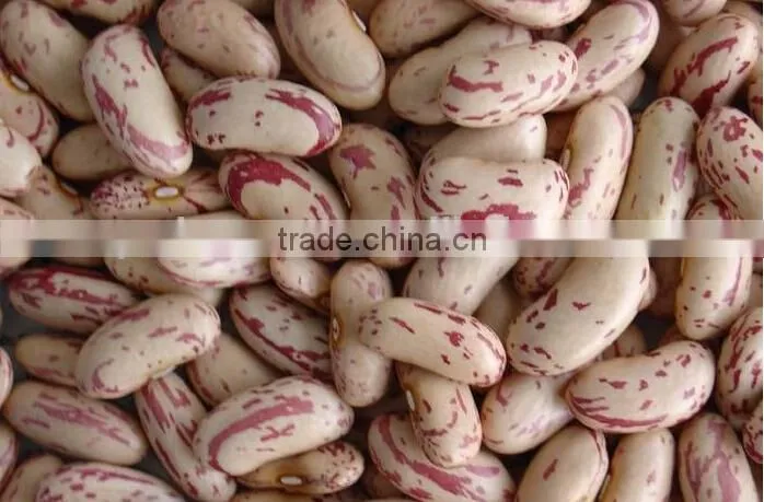 2015 New Crop Canned Vegetables/Pinto Beans/Speckled Kidney Beans