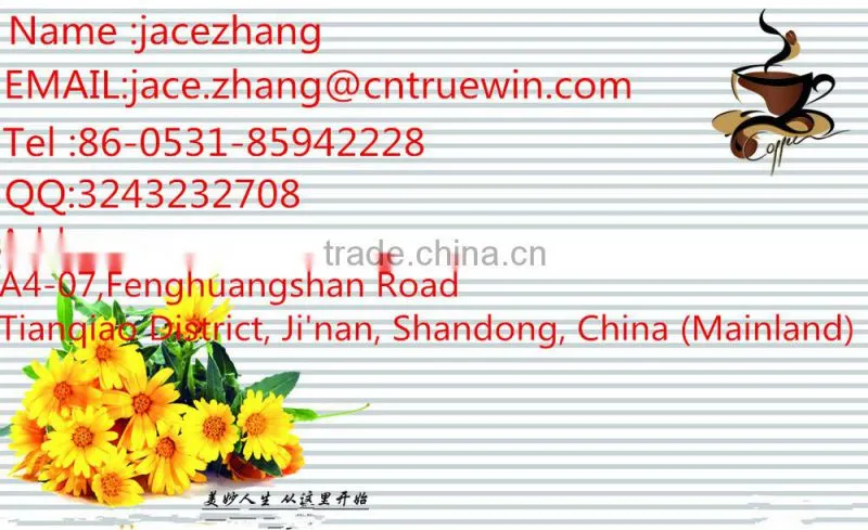 Single column and double column,the four pillars GUIDE hydraulic lifting platform