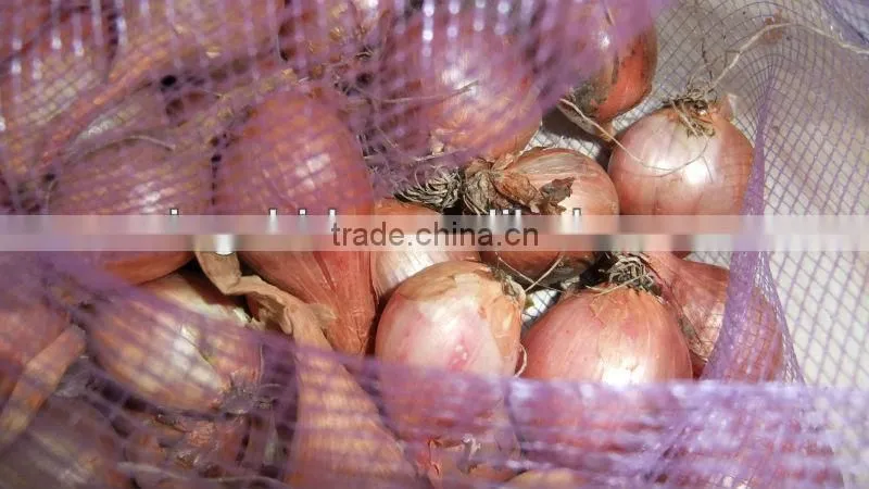 fresh onion prices in china