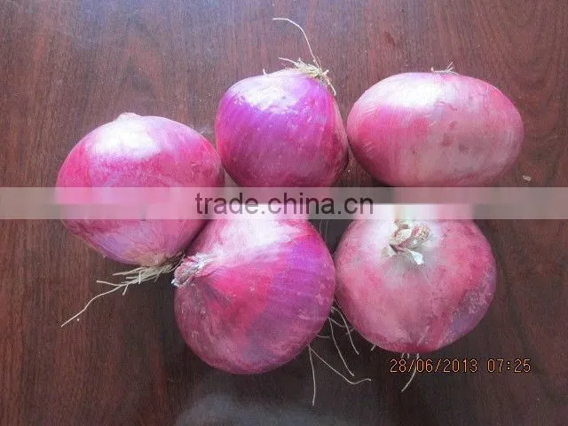 Fresh red onion