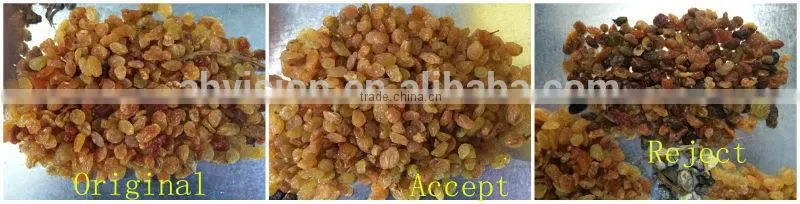 2016 with 5000+pixel raisins color sorter with fast detection and high identification rate,raisins grading machine
