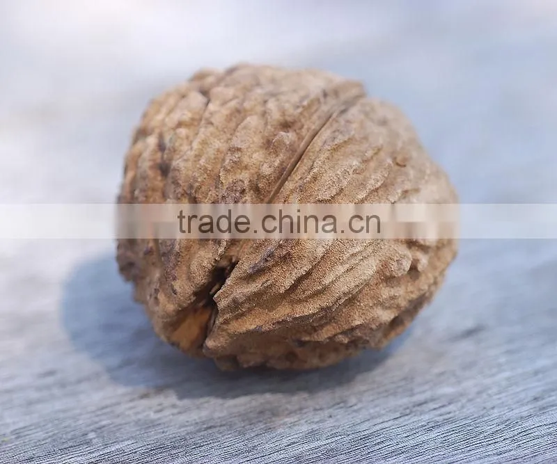 Best-quality Natural and Nutritional food supplement Black Walnut fruit powder Juglans nigra flour