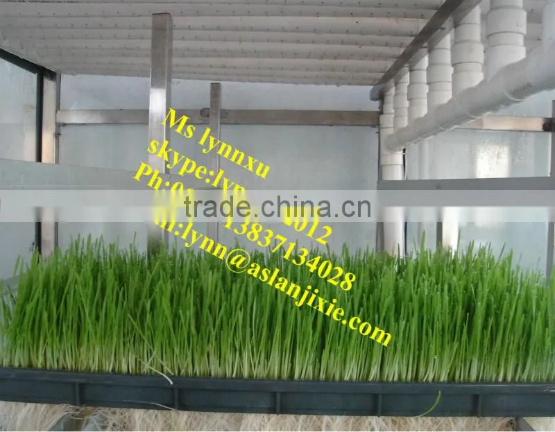 soyabean sprouting machine /automatic bean sprout machine