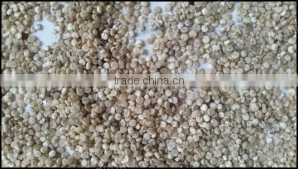 Automatic quinoa seeds processing equipment for sell
