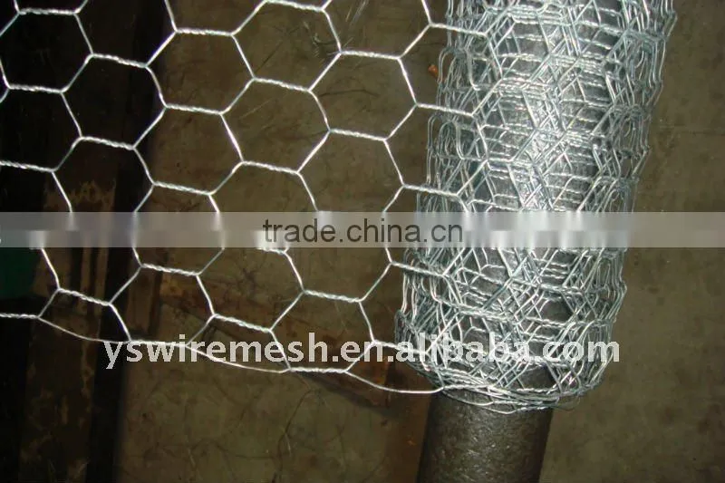 keep poultry galvanized hexagonal fencing