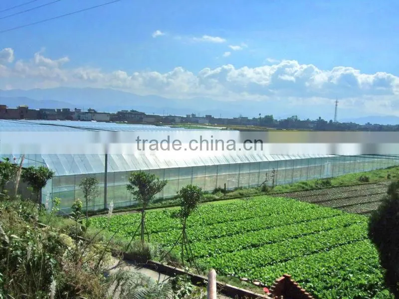 transparent Agricultural film for greenhouse