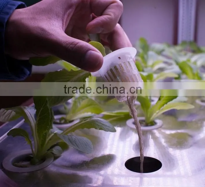 60mm PP Plastic Garden Planting Mesh net pots