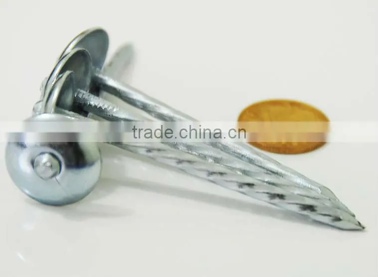 umbrella roofing nails for south africa