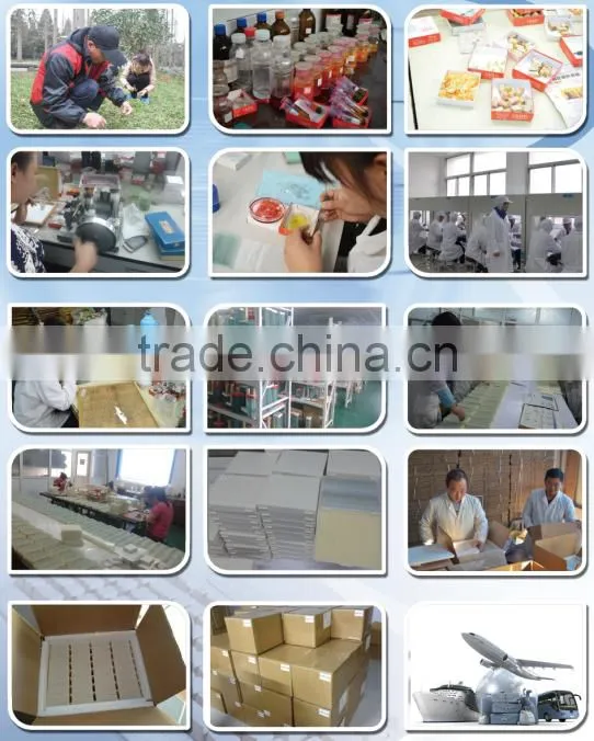 plastic box for prepared slides(contains100 piece)