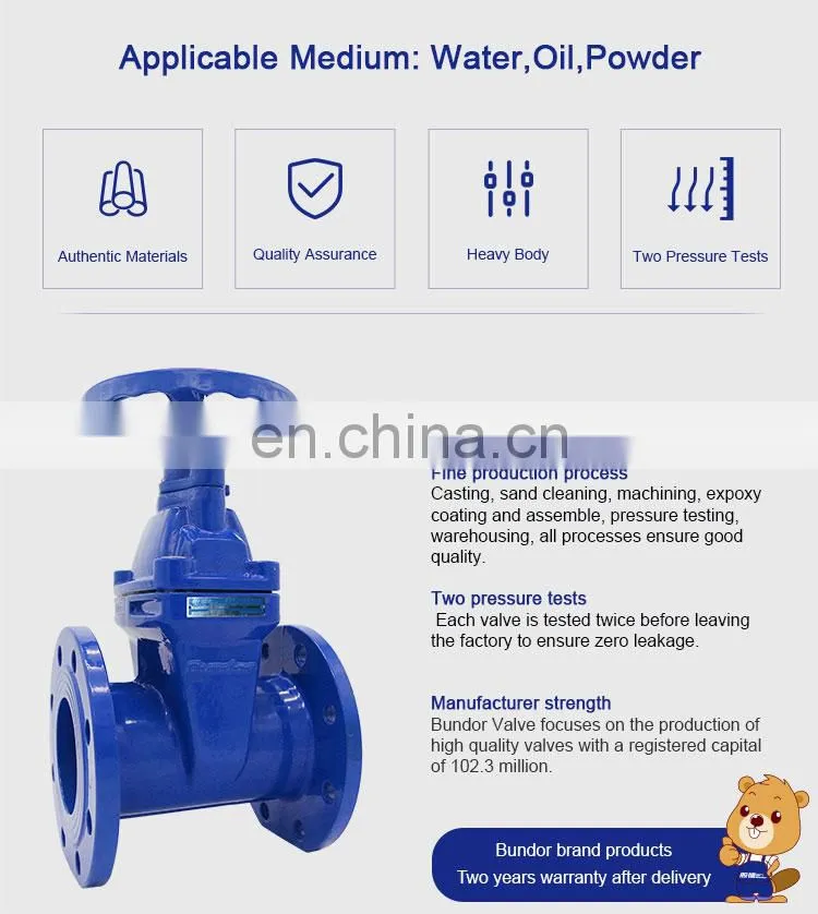 Bundor 4 inch water gate valve DN250 Ductile Iron Gate Valve