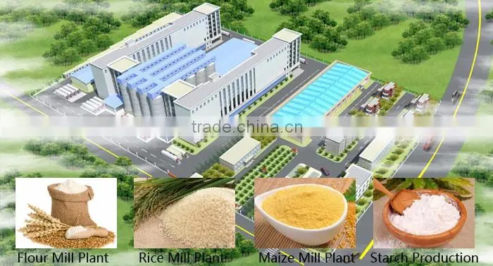 Professional design high capacity starch production line
