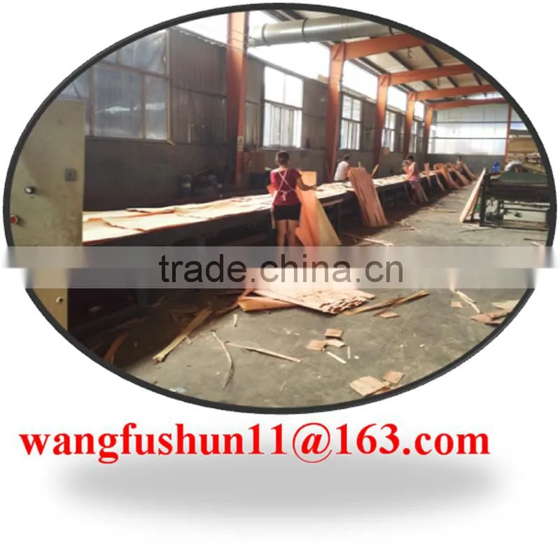 poplar lvl for packing/E1 E2/high quality poplar lvl and poplar lvb for Malaysia