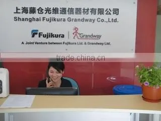 Shanghai Grandway Telecom Tech. Co., Ltd. company overview - view 2