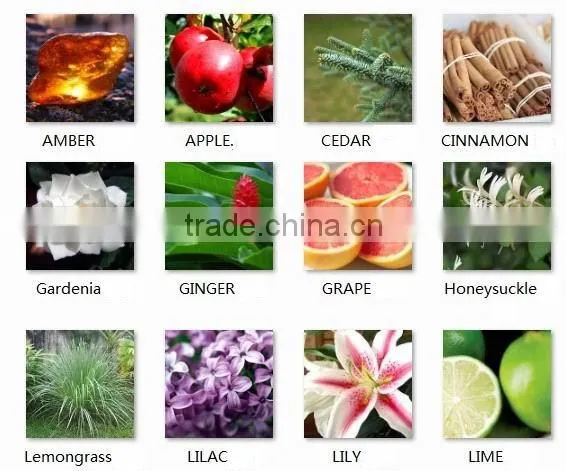 Popular 100ml home fragrance aroma reed diffuser