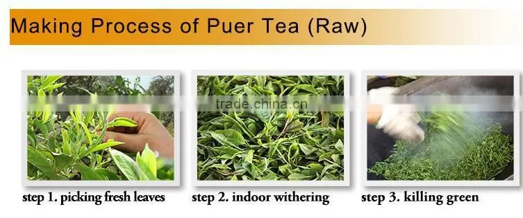 Gua Feng Zhai Pu'Er ----- Honey Sweet Mouth Feel