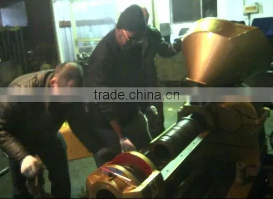 YZYX120WZ moringa seed oil extraction machine