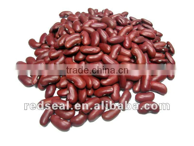 Organic Small Red beans
