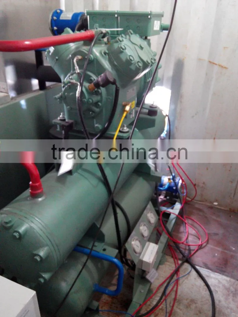 12 tons containerized ice machine for hot sale in Africa