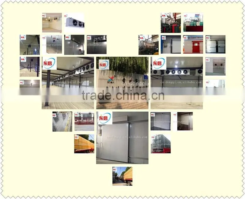 PU panel sandwich / insulated panels for cold storage from changzhou