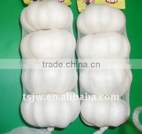 pure white garlic