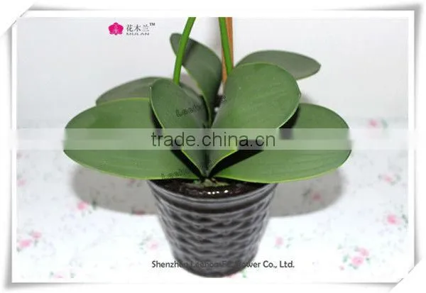 Cream Real Touch Orchid Wholesale Decorative Cheap Silk Flowers