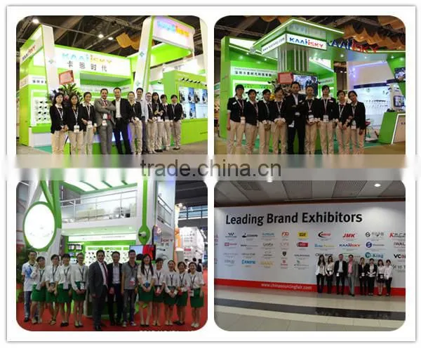 2015 New Design Best selling 2mp 1080p indoor dome ip camera with POE Function optional