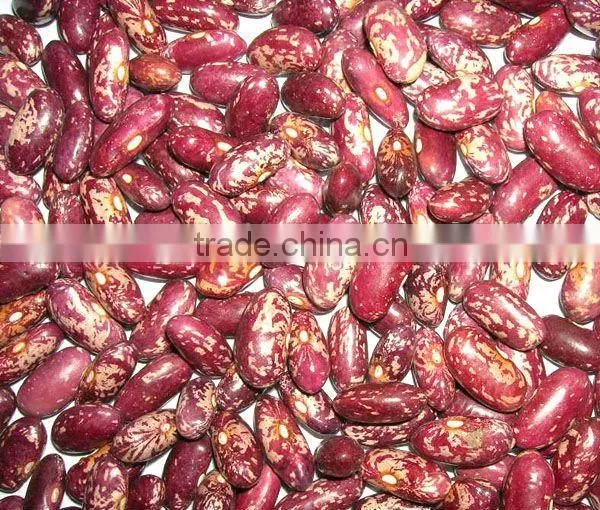 dry chinese purple speckled kidney bean