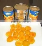 Canned fresh apricots in syrup manufacturer
