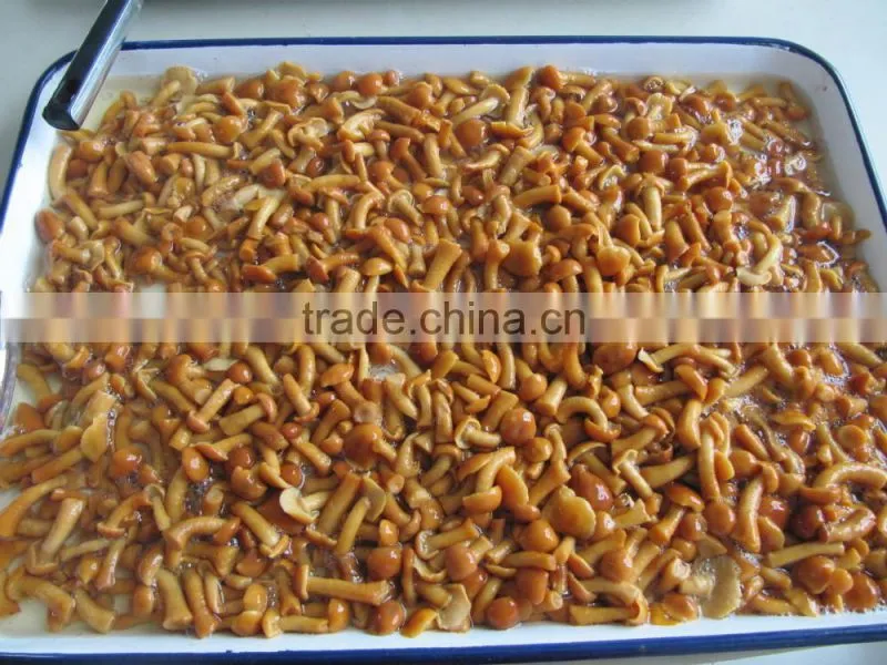 Nameko in brine