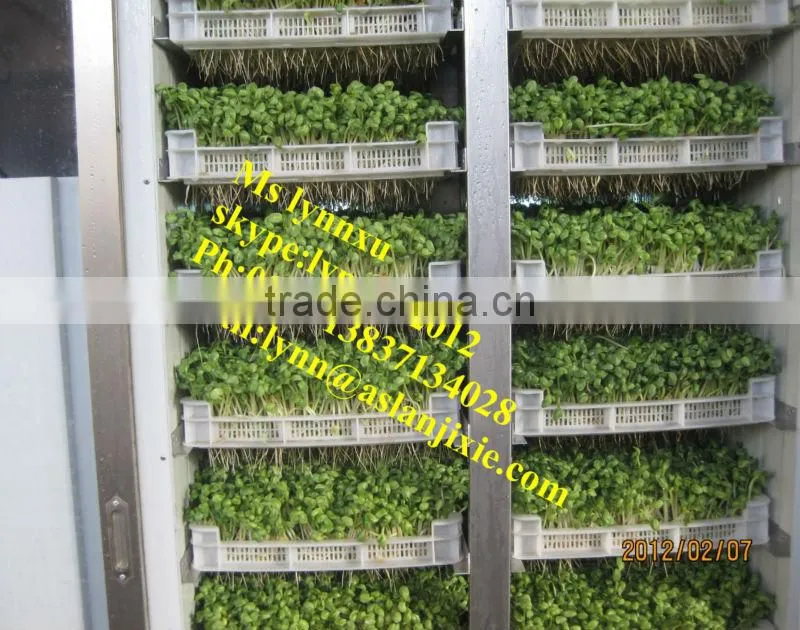 soyabean sprouting machine /automatic bean sprout machine
