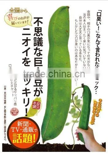 NATAMAME Japanese Bean Nata Bean Extract Toothpaste Japan Breath Care and Refreshment