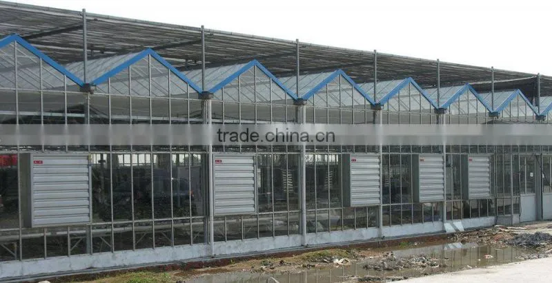 Made in china Electric Industrial Ventilation Centrifugal Exhaust Fan