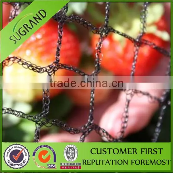 Agriculture Plastic Bird Net Orchard Bird Netting