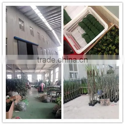 Incredibly Realistic Artificial Rubber Ficus Plant Tree for Home and House