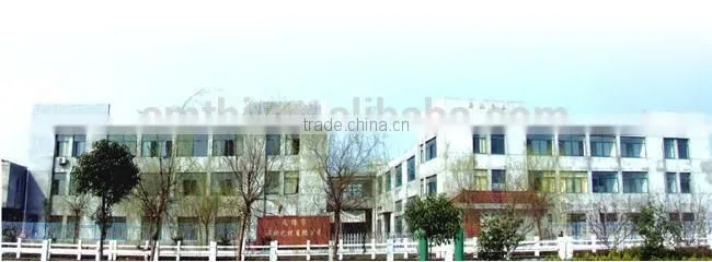 China Manufacturer Hot Selling Lower Price Adult Electric Bicycle,Mini Electric Vehicle,Amthi