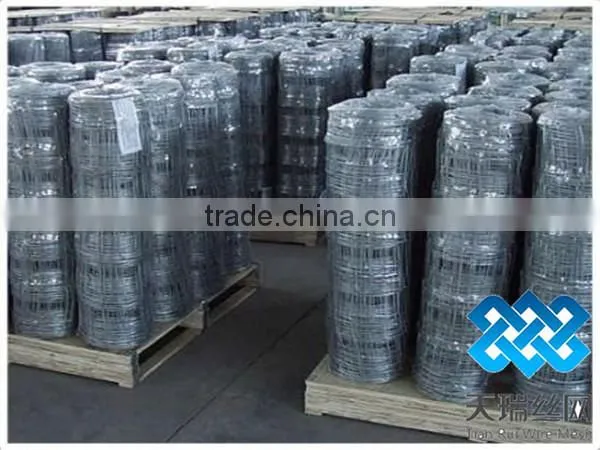 field mesh/cattle mesh/field fence