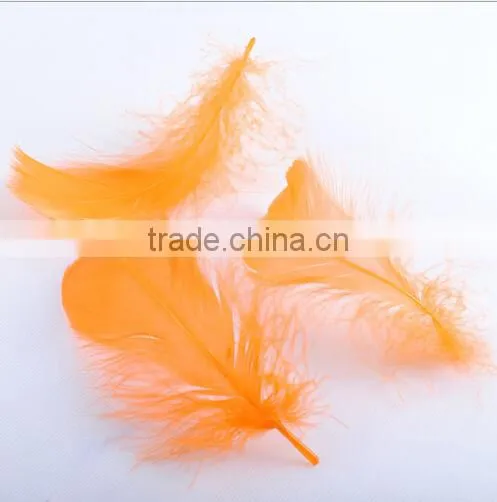 cosplay colorful feather wings