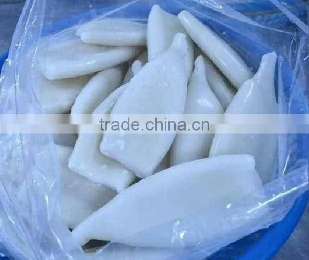 Frozen Squid Tube U10