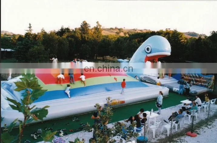EN14960 Quality Guarantee inflatable climbing air mountain
