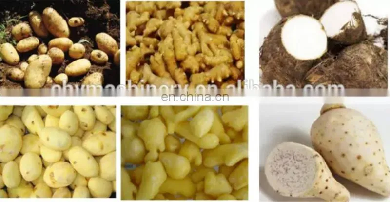 2019 new style industrial potato peeler machine / small scale potato peeling machine for sale