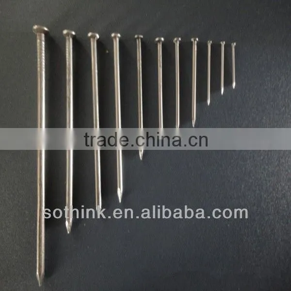Common Wire Nail iron nail with best quality