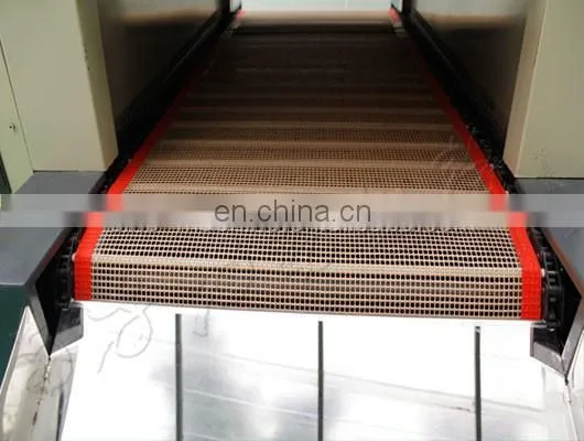 contiunous drying mango chips processing plant