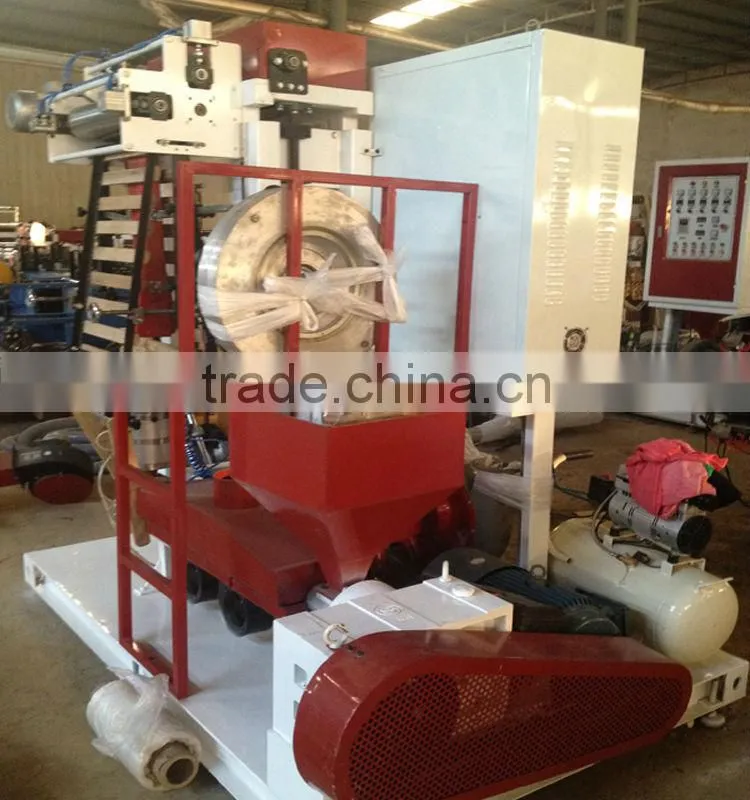 ruian hot sell SJ-M mini film blowing machine