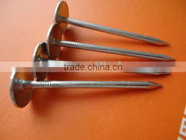 bulk umbrella roofing nail manufacturer
