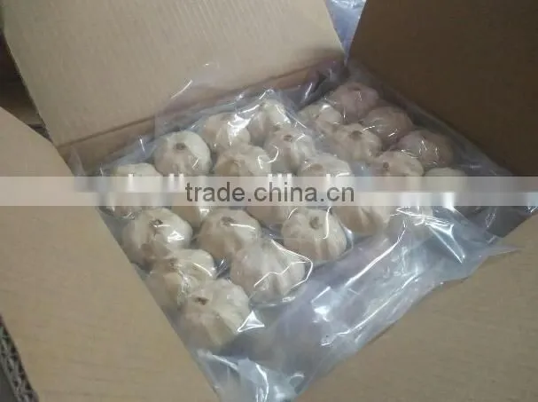 black garlic